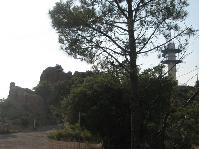 mont_vinaigre_14.jpg