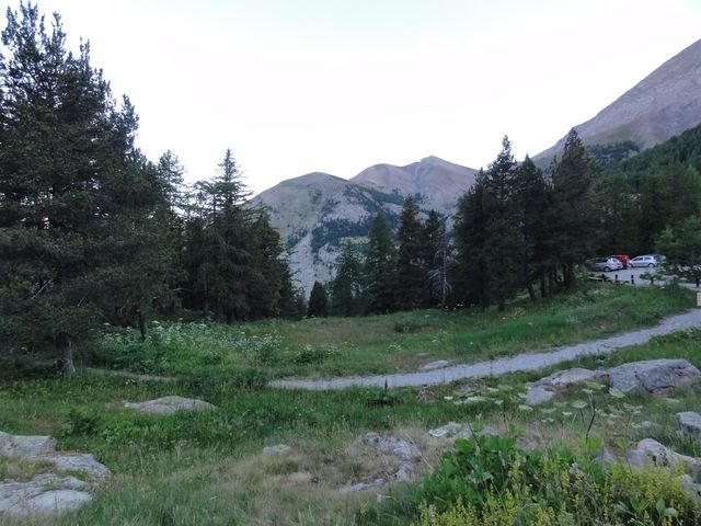 pelat_2010_03.jpg