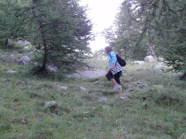 pelat_2010_06.jpg