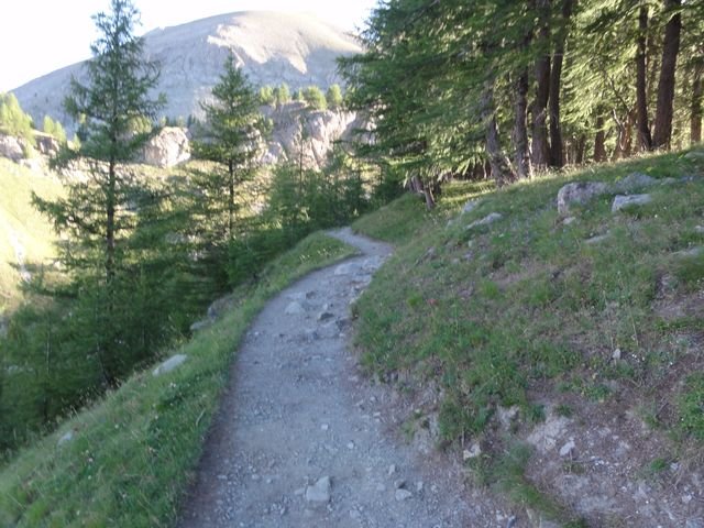 pelat_2010_08.jpg