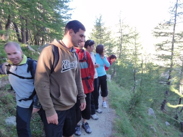 pelat_2010_11.jpg
