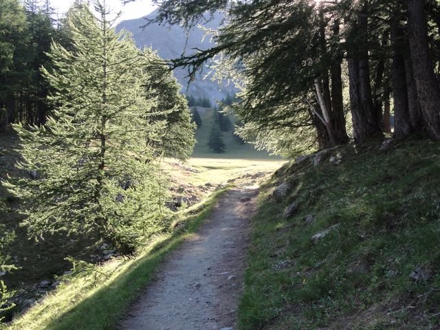 pelat_2010_14.jpg