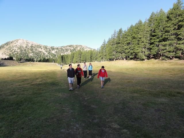 pelat_2010_17.jpg