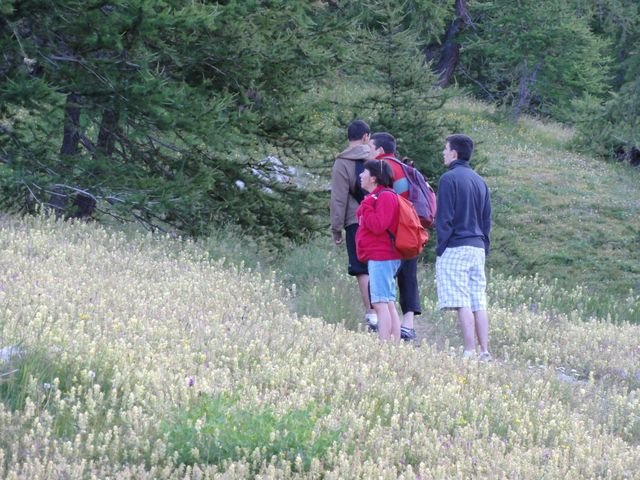 pelat_2010_19.jpg