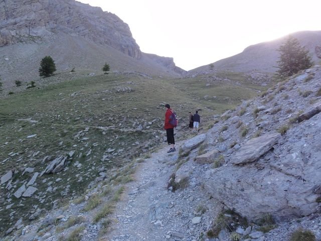pelat_2010_21.jpg