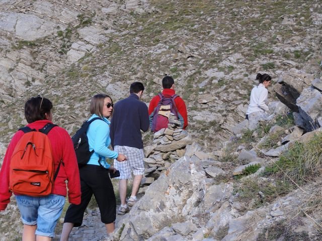 pelat_2010_30.jpg