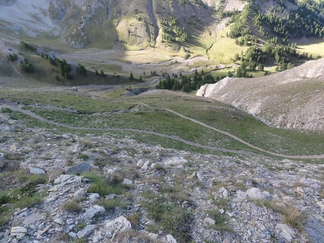 pelat_2010_34.jpg