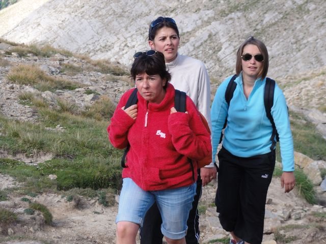 pelat_2010_36.jpg