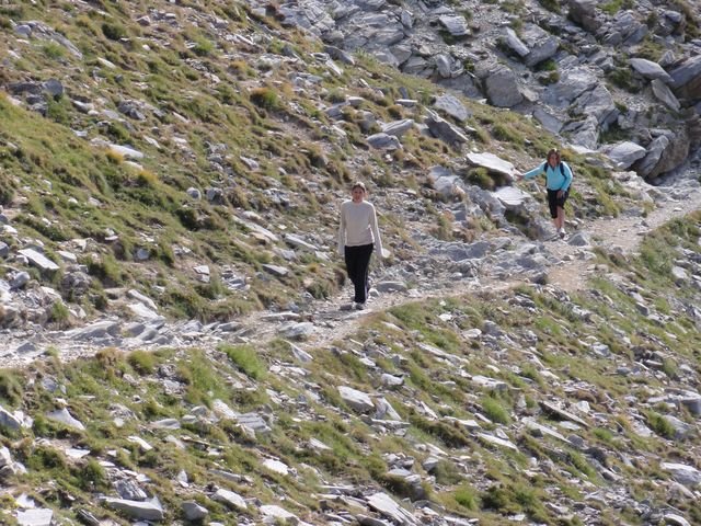 pelat_2010_40.jpg