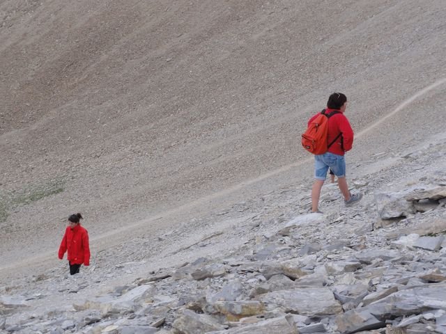 pelat_2010_42.jpg