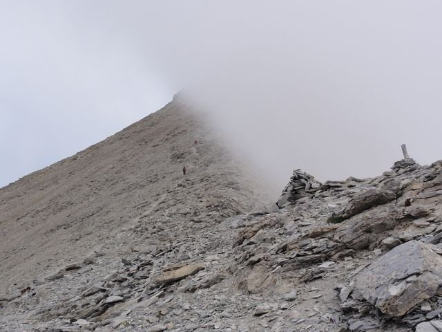 pelat_2010_43.jpg