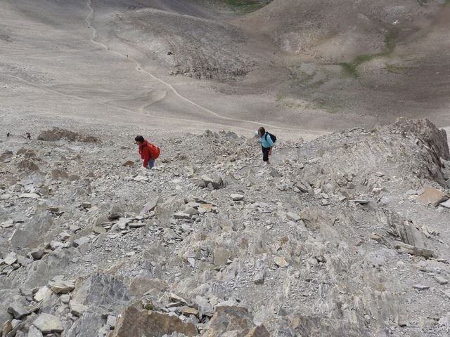 pelat_2010_52.jpg