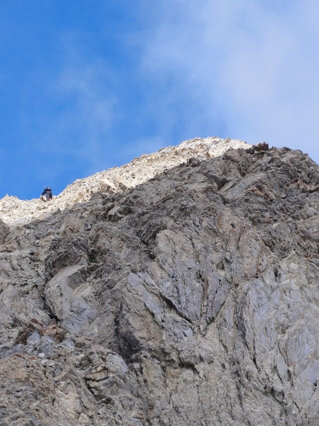 pelat_2010_58.jpg