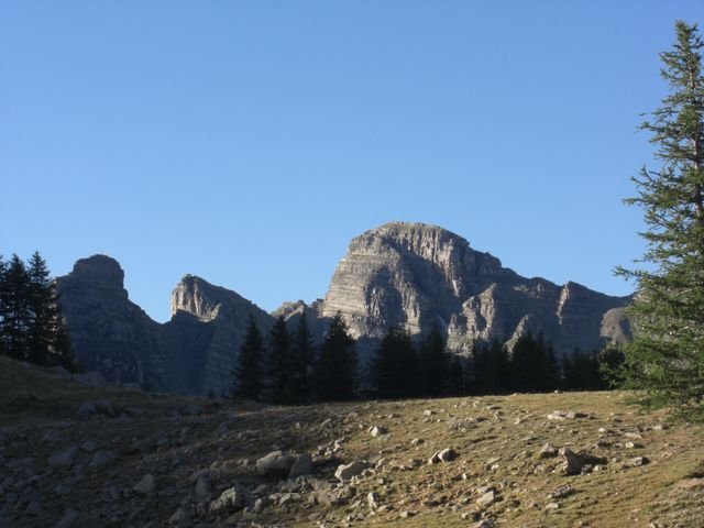 pelat_2010_cristou_08.jpg
