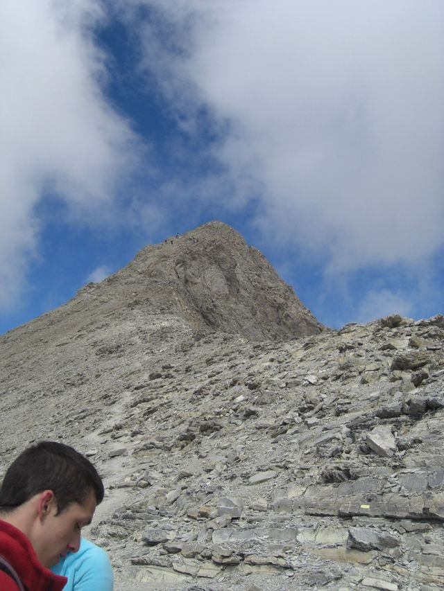 pelat_2010_cristou_29.jpg