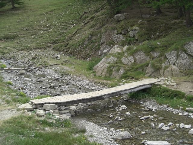 pelat_2010_cristou_34.jpg