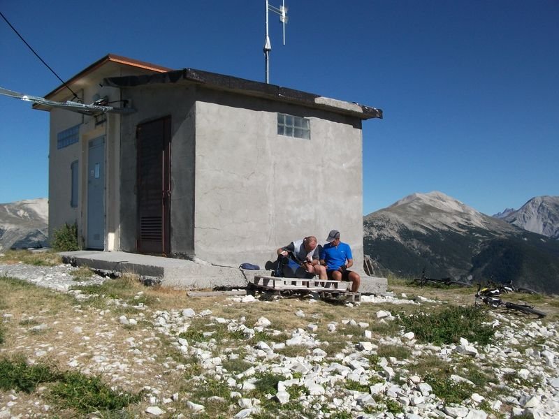 petit_cordoeil_antenne_30.jpg