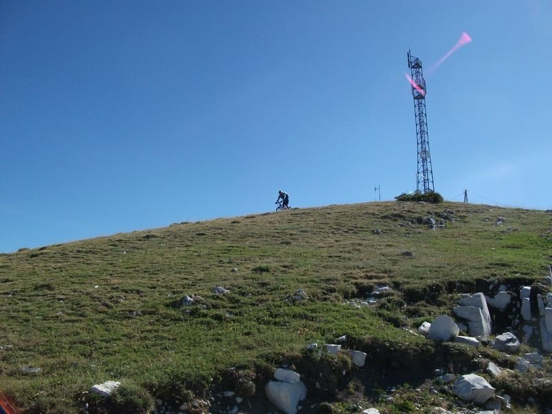 petit_cordoeil_antenne_34.jpg