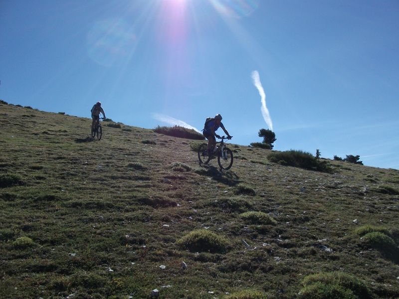 petit_cordoeil_antenne_38.jpg