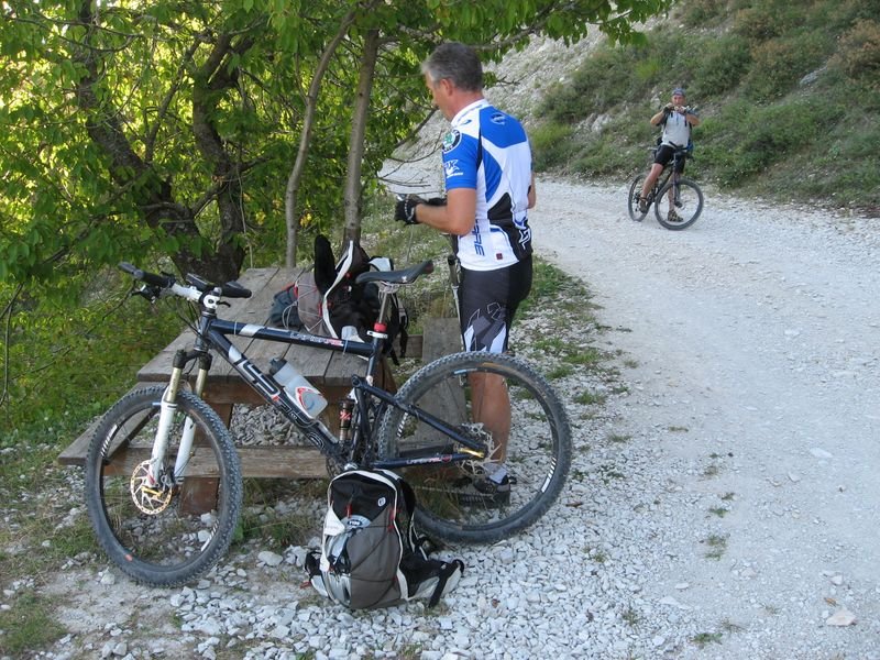 petit_cordoeil_antenne_46.jpg