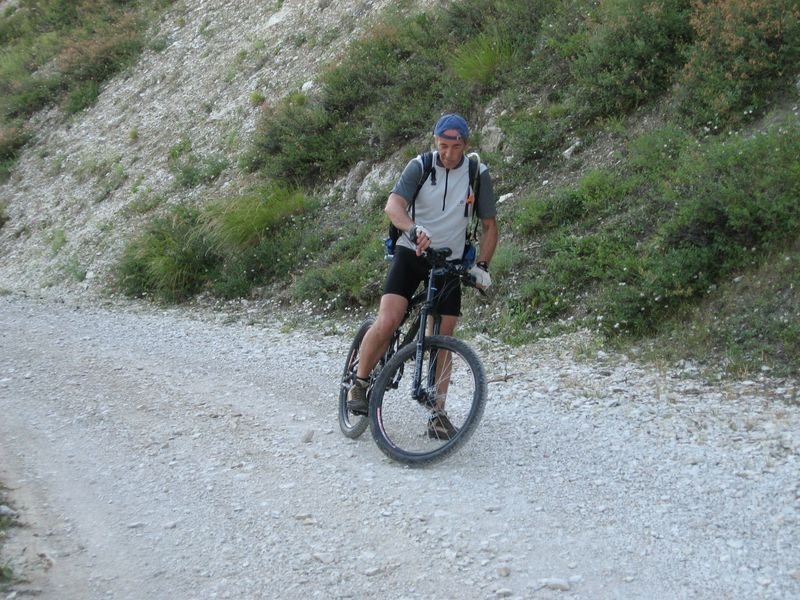 petit_cordoeil_antenne_47.jpg