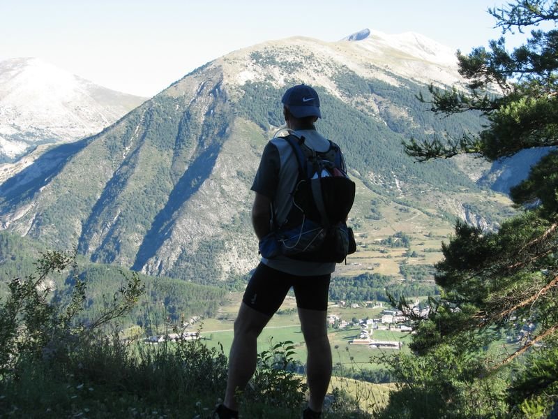 petit_cordoeil_antenne_50.jpg