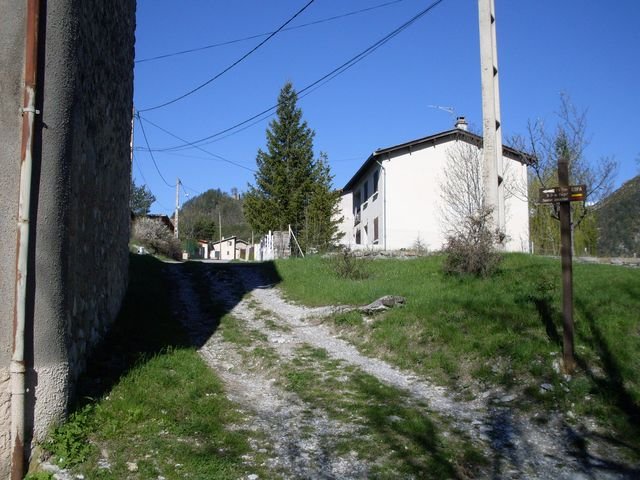piegut_02.jpg