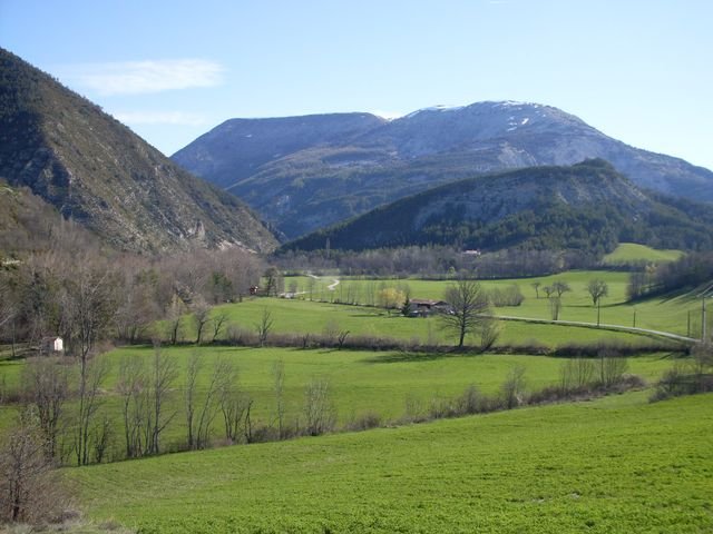 piegut_03.jpg