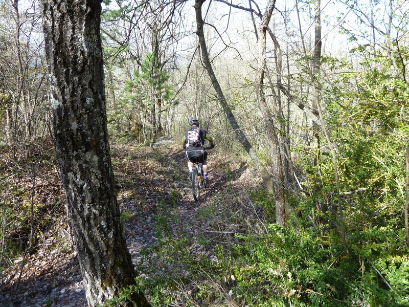 piegut_avril_2011_06.jpg