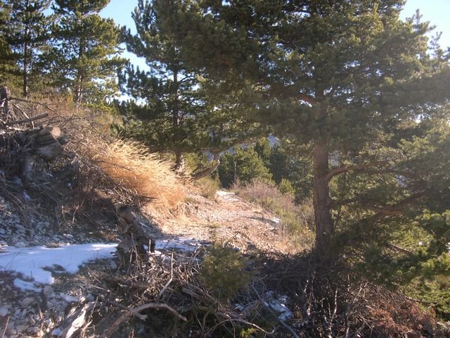 piste_du_moustier_17.jpg