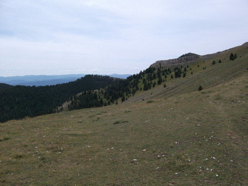 plan_des_mouches_50.jpg