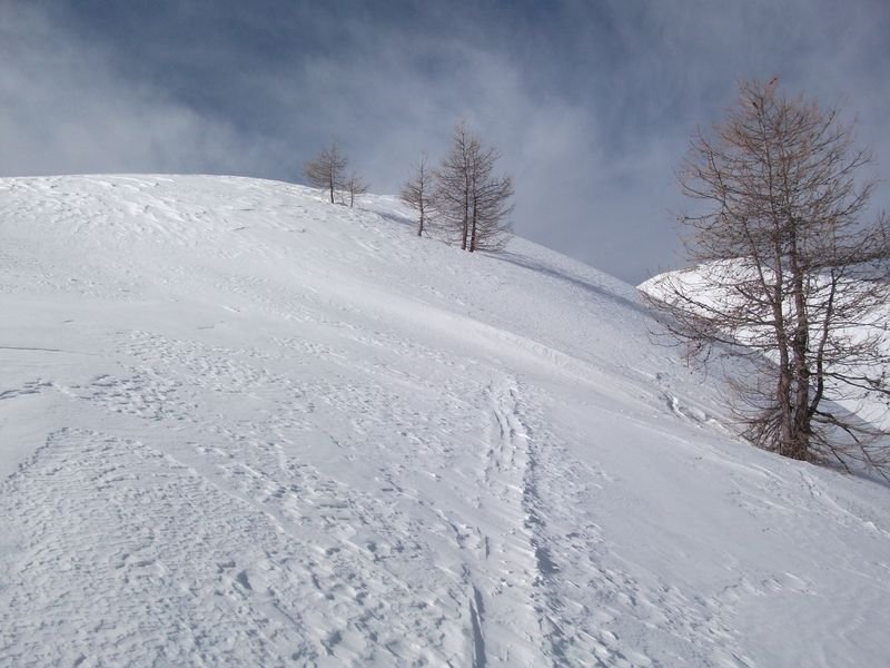 pra_bertrand_fev_2011_16~0.jpg