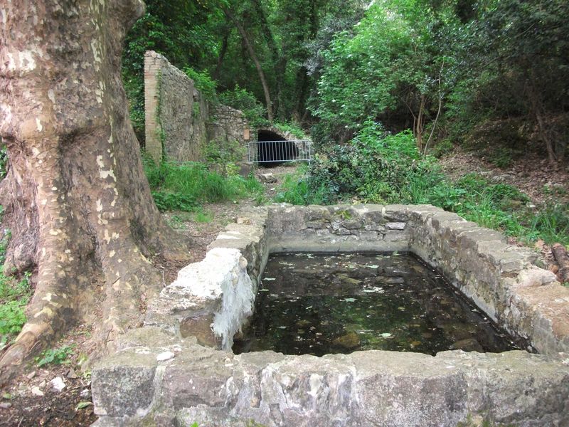reganas_2011_06_1.jpg