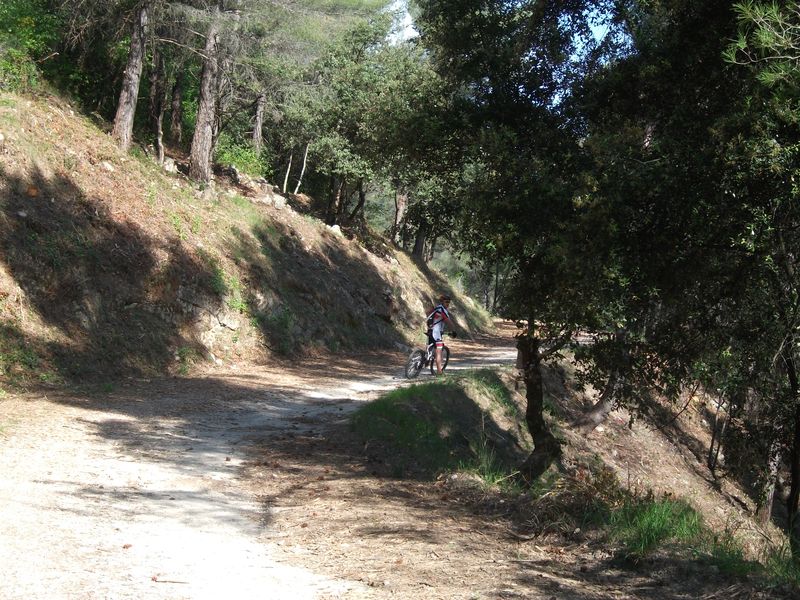 reganas_2011_11_1.jpg