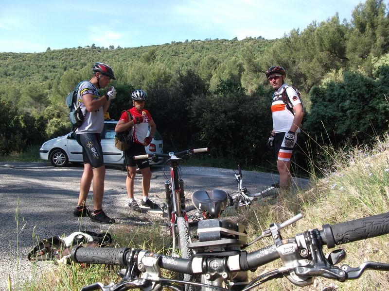 reganas_2011_14_1.jpg