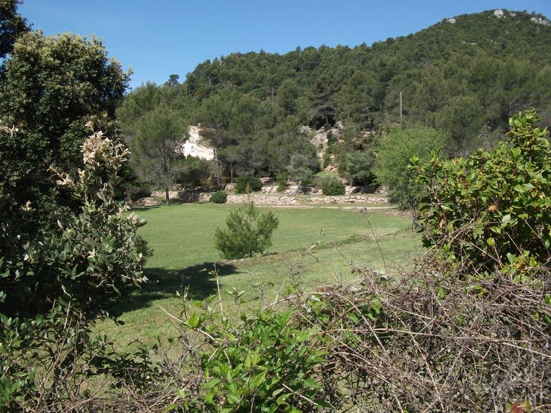 reganas_2011_15_1.jpg
