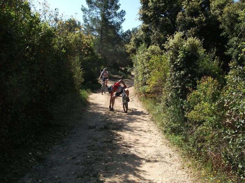 reganas_2011_16_1.jpg