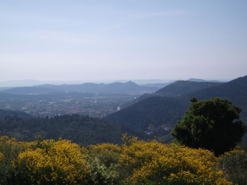 reganas_2011_18_1.jpg