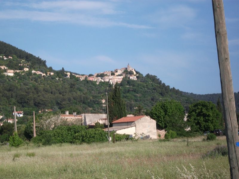 reganas_2011_1~0.jpg