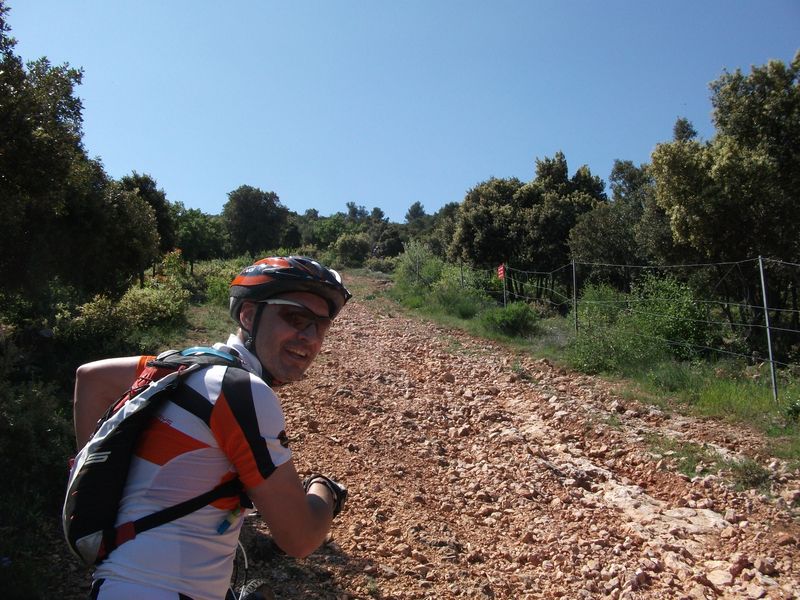 reganas_2011_21_1.jpg