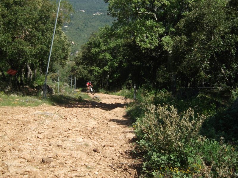 reganas_2011_24_1.jpg