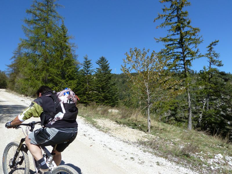 reyniere_avril_2011_12.jpg