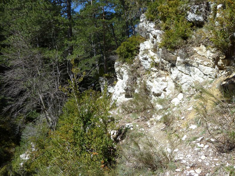 reyniere_avril_2011_31.jpg