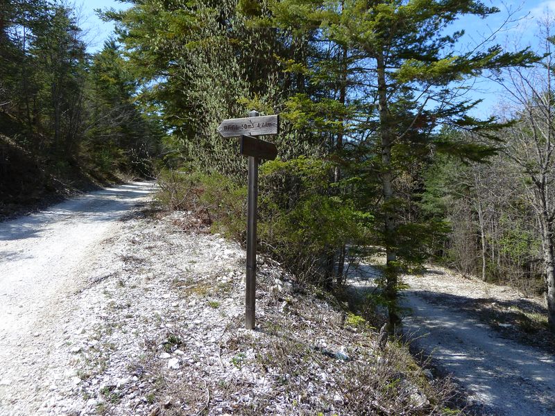 sentier_du_villard_2011_02.jpg