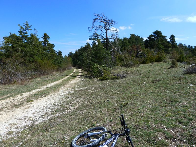 sentier_du_villard_2011_07.jpg