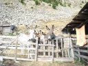 Sallanches_282029.JPG