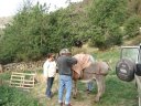 Sallanches_28229.JPG