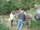 Sallanches_28429.JPG