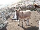 Sallanches_286429.JPG