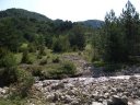 chiran__13_07_2010_19.jpg